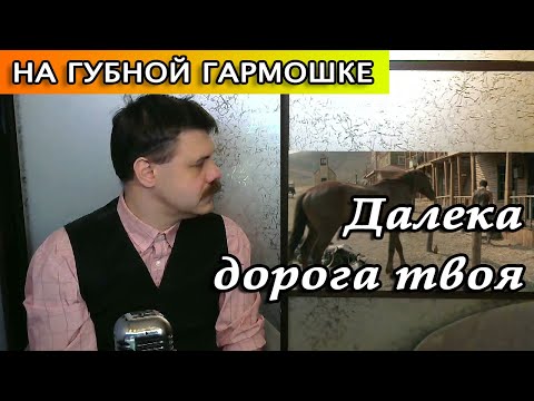 Видео: Песня "Далека дорога твоя" на губной гармошке и гитаре