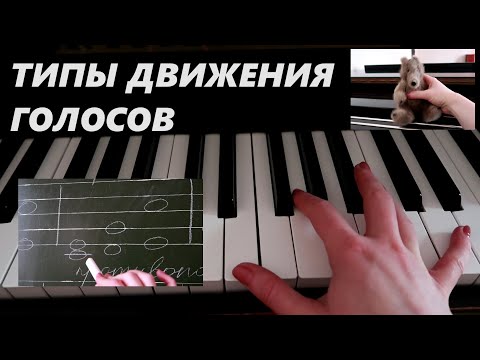 Видео: ТИПЫ ДВИЖЕНИЯ ГОЛОСОВ в ДВУХГОЛОСИИ: прямое, параллельное, косвенное, противоположное. СОЛЬФЕДЖИО