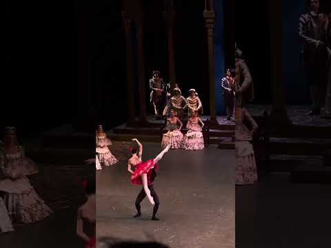 Видео: Мария Кошкарёва, Игорь Цвирко, Дон Кихот, 09.10.24 #bolshoiballet #bolshoitheatre