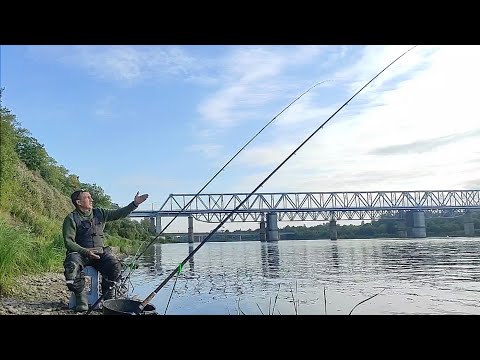 Видео: ГЭС.Приехал в ночь половить Леща и Сырть.Фидерная ловля на реке