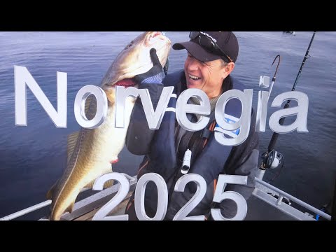 Видео: Рыбалка в Норвегии 2025 ! Трофей ! Четвёртый день !!!