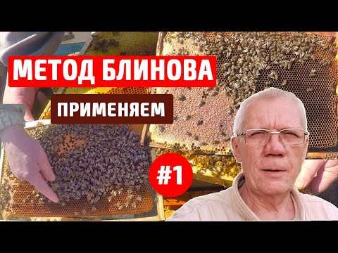 Видео: Метод Блинова в пчеловодстве. СЕКРЕТЫ Успешного Пчеловодства в Марте.