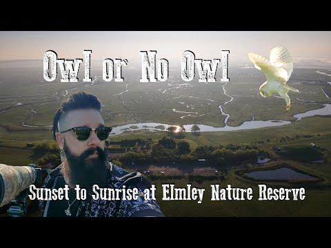 Видео: Сова или нет — от заката до рассвета в заповеднике Элмли