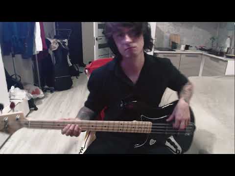 Видео: Звери - Все, что касается | Bass Cover by BILLER