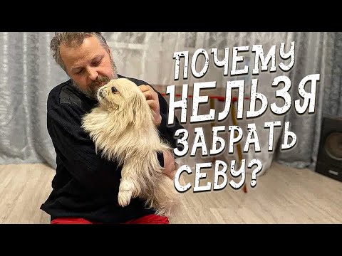 Видео: Спасение животных/ Я не знал, что он умеет курлыкать