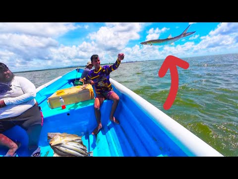 Видео: 1 час рыбалки в заливе #Тринидад