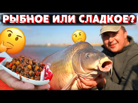 Видео: ЧЕМ ЛУЧШЕ КОРМИТЬ КАРПА ОСЕНЬЮ?! Эксперимент с прикормкой в Нестандартных условиях. Часть I