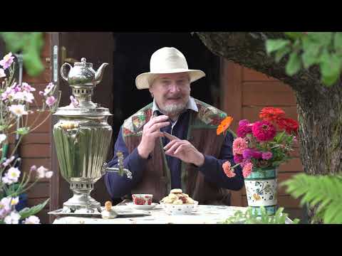 Видео: Стул и кость. С.В. Савельев. "Пироги Мухи".