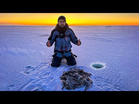 Видео: ЛАДОГА РУЛИТ! МОЯ ПЕРВАЯ ЗОЛОТАЯ ЛУНКА В ЖИЗНИ! ЗИМНЯЯ ЛОВЛЯ ОКУНЯ НА БЛЕСНУ