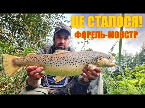 Видео: Така покльовка буває раз у житті!  Трофейна форель на спінінг 😱🎣 