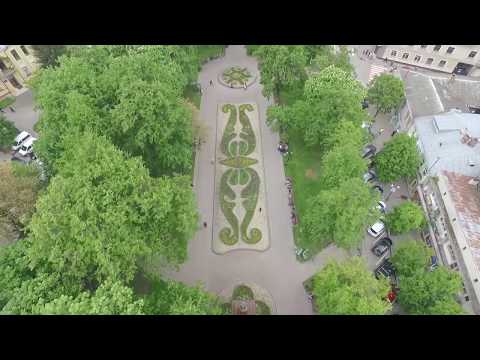 Видео: Вулиця. Площа Міцкевича