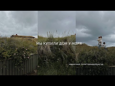 Видео: Мы купили дом! Roomtour / черничные поля