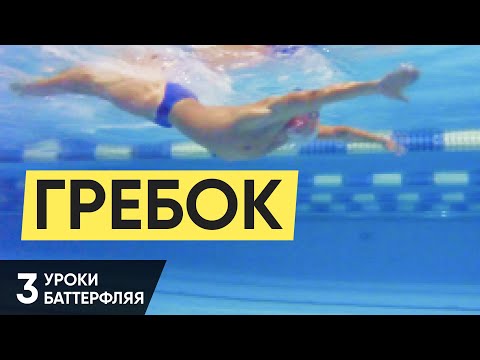 Видео: САМОЕ ВАЖНОЕ В БАТТЕРФЛЯЕ - ГРЕБОК РУКАМИ. УРОК 3. УРОКИ БАТТЕРФЛЯЯ @ Swimmate ru