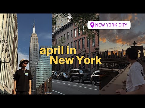 Видео: NEW YORK VLOG: как мы искали работу, Централ Парк и Брайтон Бич