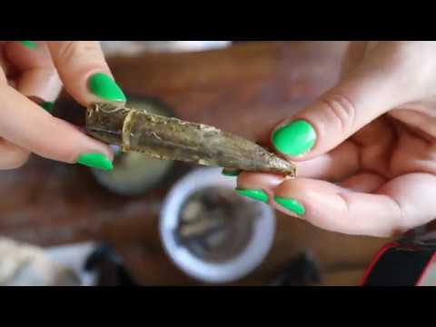 Видео: Очистка/растворение окаменелостей уксусом — Fossil Friday On A Friday Yay