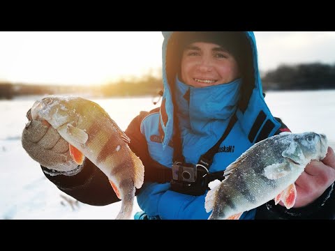 Видео: ОКУНЬ В ГЛУХОЗИМЬЕ НА БЕЗМОТЫЛКУ!) Ловля окуня на Дону в перелом погоды)