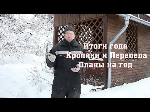 Видео: Итоги года. Кролики и Перепела. Планы на год.