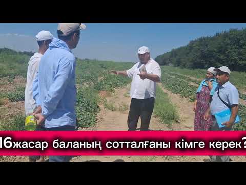 Видео: ҚР бас прокуроры Берік Асыловтың назарына