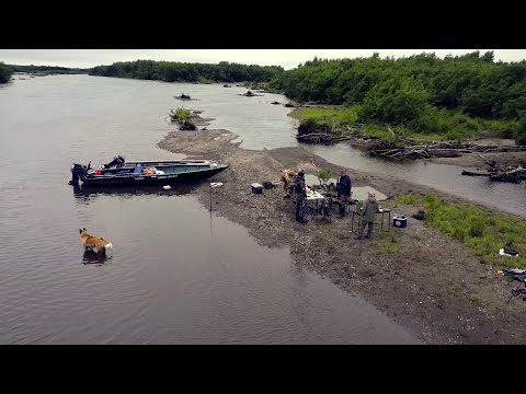 Видео: КАМЧАТКА! ЗЕМЛЯ УХОДИТ ИЗ ПОД НОГ ОТ ТАКИХ ПОКЛЕВОК.