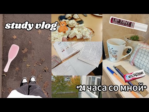 Видео: Мой школьный день/ study vlog 📚🍂