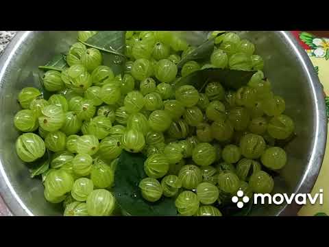 Видео: ‼️ЦАРСКОЕ ВАРЕНЬЕ ИЗ КРЫЖОВНИКА И ЛИСТЬЕВ ВИШНИ🫒🍃👍‼️