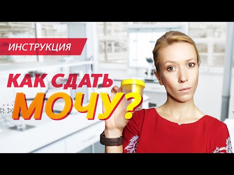 Видео: Как сдать анализ мочи? | Пошаговая инструкция с объяснениями