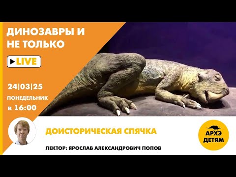 Видео: Занятие "Доисторическая спячка" кружка "Динозавры и не только" с Ярославом Поповым