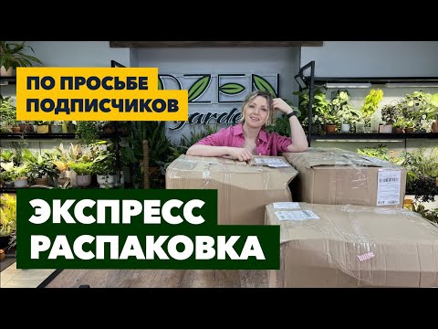 Видео: Внеплановая экспресс-распаковка комнатных растений