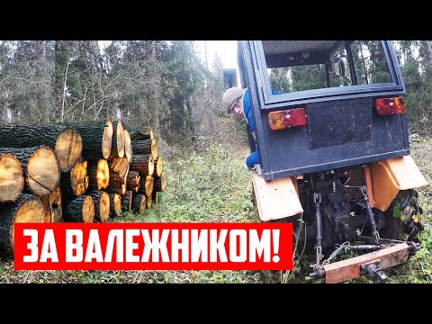 Видео: Еду в лес на минитракторе Синтай за валежником