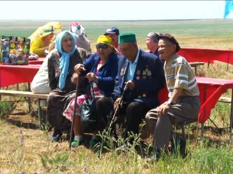 Видео: Сарыларда койдешлер корюшуви