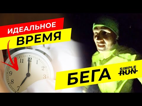 Видео: Утром ☀️, днём или вечером 🌙? Когда полезнее и эффективнее бегать? ⏰