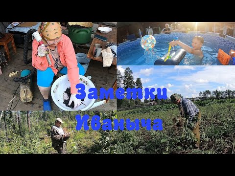 Видео: Дела домашние, продолжение ягодной эпопеи