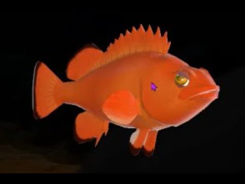 Видео: Прохожу FEED AND GROW: FISH. Играю за Северную Красную Рыбу.