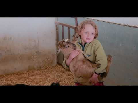 Видео: Как австралийцы в Таджикистане сыр варят