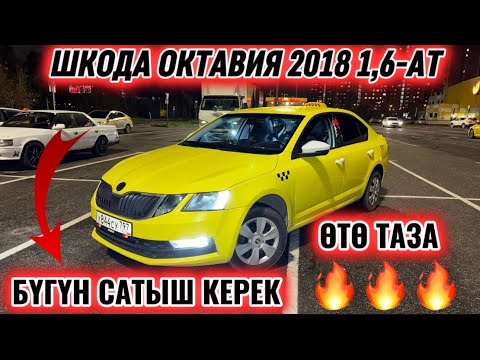 Видео: ӨТӨ ТАЗА! ШКОДА ОКТАВИЯ 2018 1,6-АТ. #89255618756 БҮГҮН САТЫШ КЕРЕК ‼️ ПОЛНЫЙ ДЕТАЛИ ОРИГИНАЛ 🔥