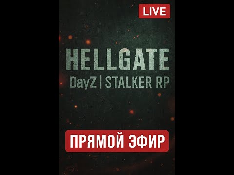 Видео: HELLGATE: Первый заход в Зону — DayZ | STALKER RP  #shorts