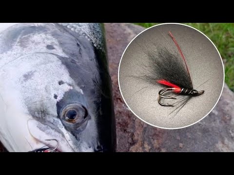 Видео: Мушки на семгу 3 уловистые мухи для ловли лосося
