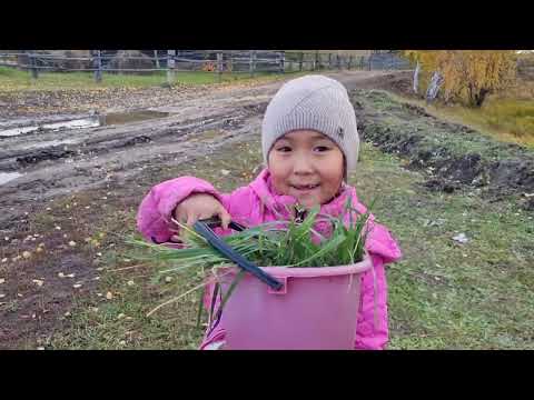 Видео: Не плов,а каша 🤦🏼‍♀