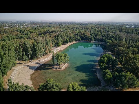 Видео: Комсомольский пруд в Карагачевой роще. Бишкек.