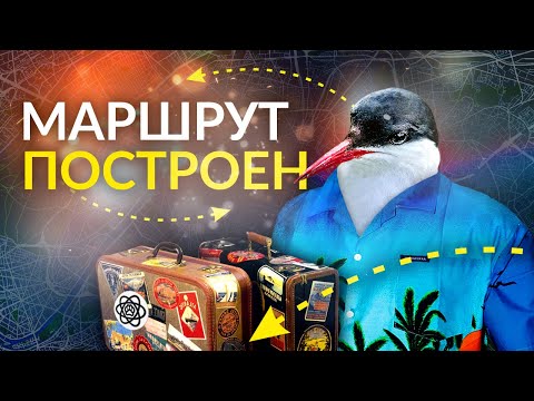 Видео: Как птицы ориентируются при дальних перелётах?