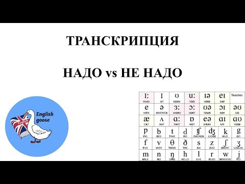 Видео: Нужно ли изучать транскрипцию? // Душная исповедь репетитора