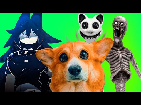 Видео: ВСЕ МОНСТРЫ ИЮЛЯ!! Лучшие серии Корги КОРЖИКА!!