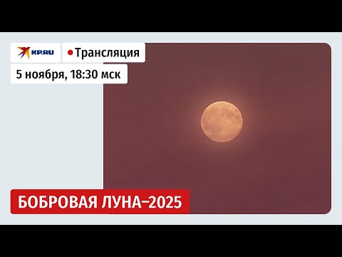 Видео: Восход Бобровой луны: прямая трансляция
