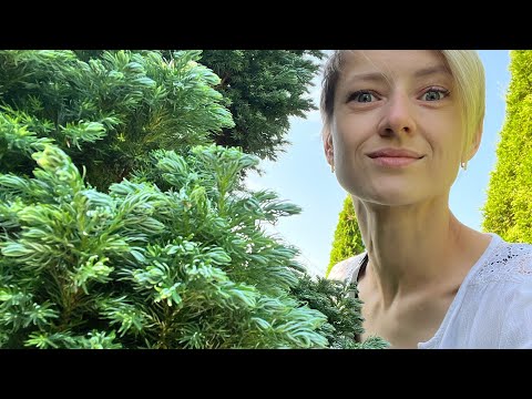 Видео: VLOG мастера маникюра за 10 дн / Распаковка с вайлдберриез #vlog #nailvlog #
