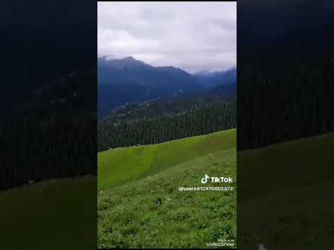 Видео: Туған жердің ыстығы ай