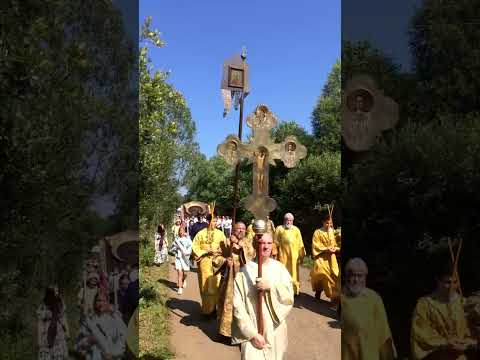 Видео: Крестный ход в Романове с иконой Спаса. #shorts #тутаев #романов