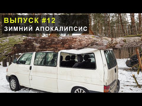 Видео: Продолжаем ремонт свинофермы. Дерево упало на машину. Выпуск 12