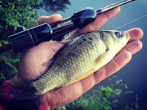 Видео: FLAGMAN AREATA 0,3-2,5 gram.ПРОДОВЖУЮ ТЕСТУВАТИ...