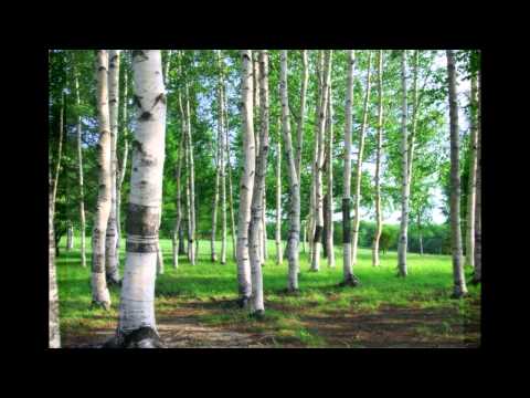 Видео: Олеся