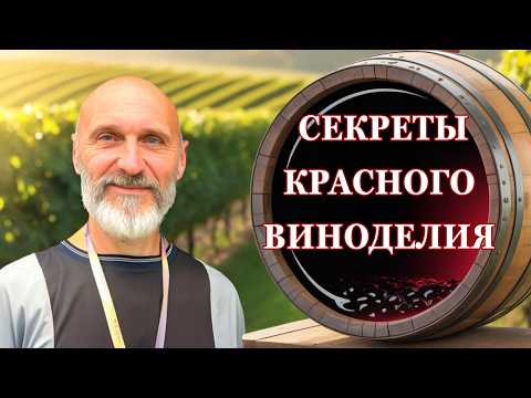 Видео: Красное домашнее вино по красной технологии | Пошаговый процесс